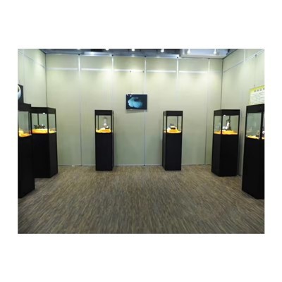 Recinte d'exposició del Museu